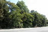 Park Bronowice