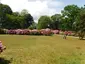 Rhododendronpark Rhododendronpark