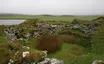 Yarrows Broch