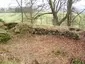 Coldoch Broch