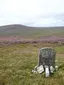 Covenanters' Grave
