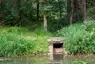 Kanaleinleitung im Bruderholz Kanaleinleitung im Bruderholz