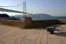 마이코다이바
