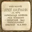 Josef Kaufmann Josef Kaufmann