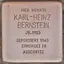 Karl-Heinz Bernstein