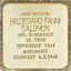 Hildegard Fanni Salomon, geb.Burchardt