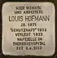 Louis Hofmann Louis Hofmann