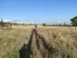 Abandoned graveyard in Orkhevi