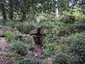 Pulhamite Waterfall/Rockery Pulhamite Waterfall/Rockery