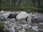 Dolmen dels Estanys II