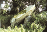 Ervey Portal Tomb