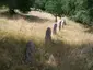 Menhir Biru 'e Concas