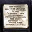 Walter Menkel Walter Menkel