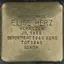 Elise Herz
