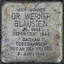 Dr. Werner Blaustein