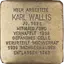 Karl Wallis
