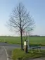 Waystone Uttewalde