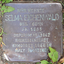 Selma Eichenwald
