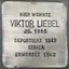 Viktor Liebel Viktor Liebel