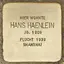Hans Haenlein