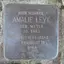 Amalie Levy, geb. Meyer