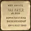 Max Mayer