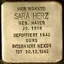 Sara Herz Sara Herz