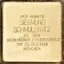 Sigmund Schmulewitz Sigmund Schmulewitz