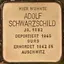 Adolf Schwarzschild Adolf Schwarzschild