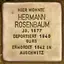Hermann Rosenbaum Hermann Rosenbaum
