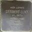 Siegbert Levy Siegbert Levy