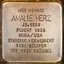 Amalie Herz Amalie Herz