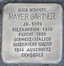 Mayer Gärtner