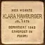 Klara Hamburger Klara Hamburger