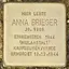 Anna Brieger