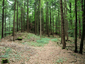 Burgstall Hagfelsen