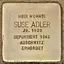 Suse Adler Suse Adler