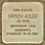 Hirsch Adler Hirsch Adler