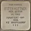 Ester Kuttner