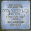 Rosa Goldschmidt