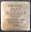 Julius Goldschmidt