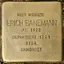 Stolperstein dedicato a Erich Siegfried Banemann