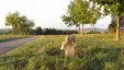 Steinkreuz am Gattenhofer Weg Steinkreuz am Gattenhofer Weg