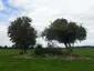 Lismacrory Mounds