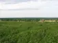 Hill of Ward