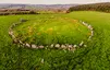 Beltany Stone Circle