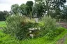 Lorum High Cross