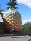Big Pineapple Big Pineapple