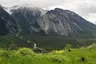 Pfynwald