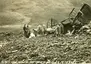 B-24 Hot Stuff Crash Memorial